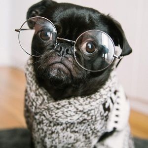 Meet your Posher, Morgan